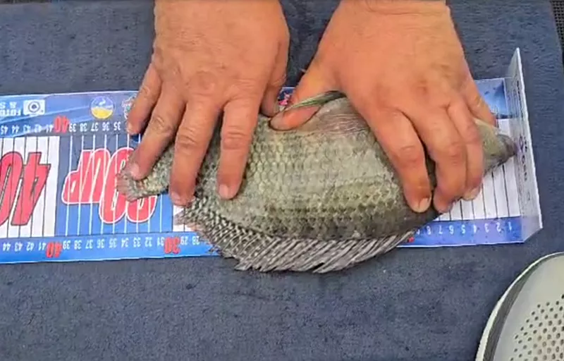 2º Torneio de Pesca dos Tilapeiros do Rio Uruguai