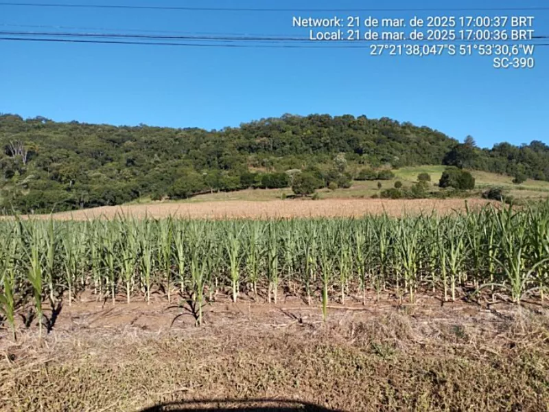 Estiagem Peritiba 2025